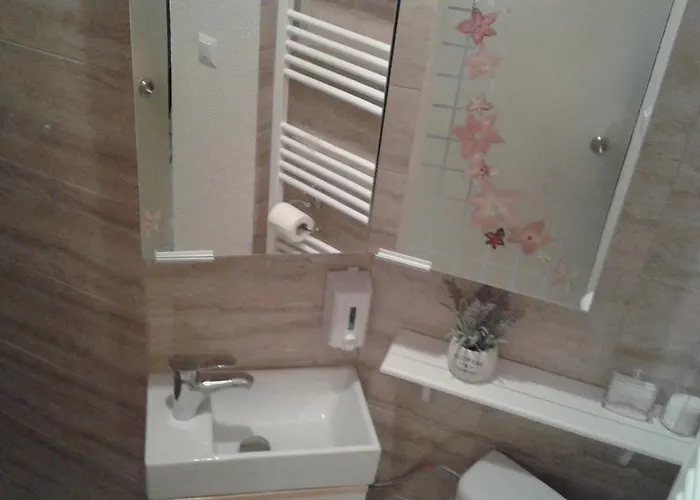 Apartman Duplex Alexander Brassó